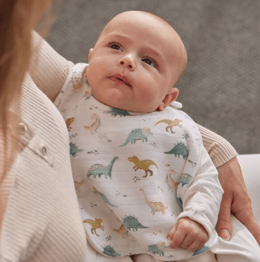 Pilbeam Jiggle & Giggle Dallying Dinosaurs Muslin Bib Set of 2