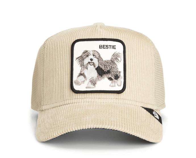 Goorin Bros Dapper Bestie Corduroy Trucker Cap