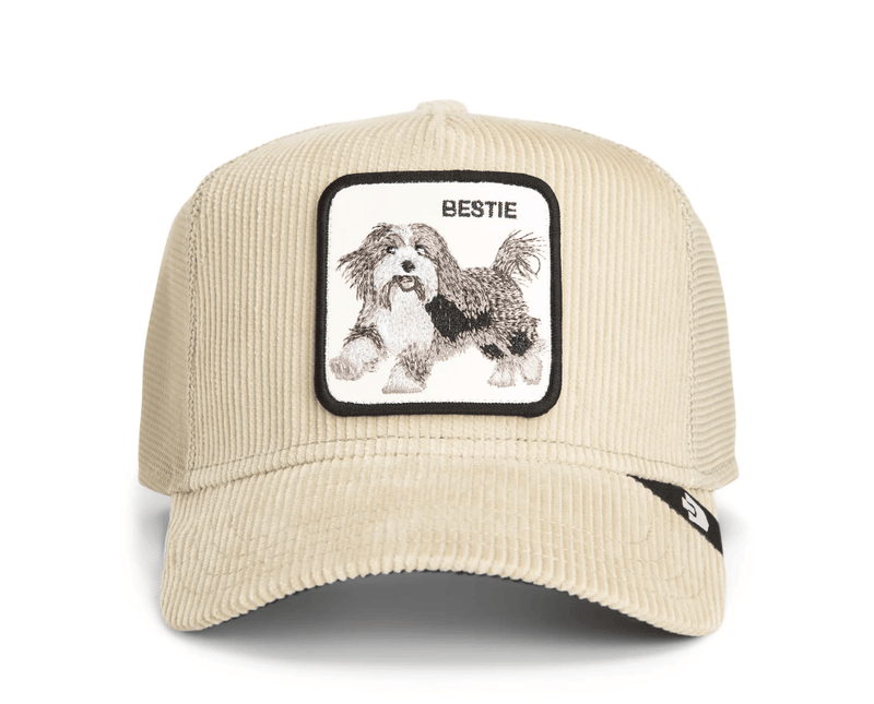 Load image into Gallery viewer, Goorin Bros Dapper Bestie Corduroy Trucker Cap
