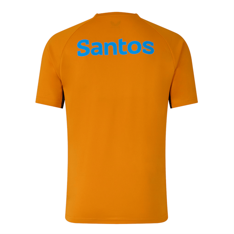 Load image into Gallery viewer, Castore Mens Wallabies Pre Match Short Sleeve Tee - Gold/Green
