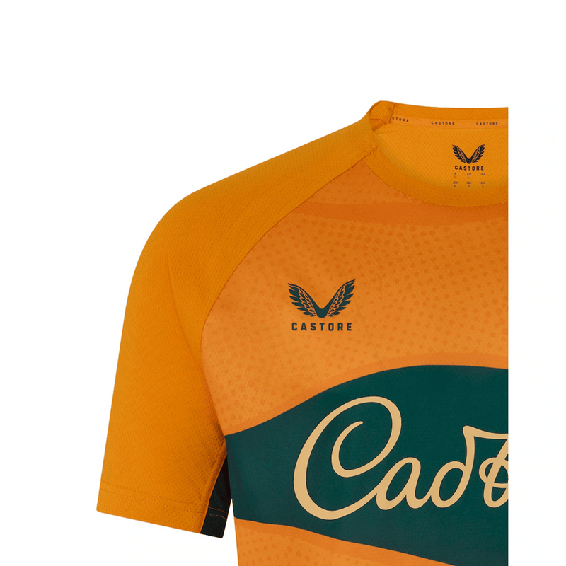 Load image into Gallery viewer, Castore Mens Wallabies Pre Match Short Sleeve Tee - Gold/Green
