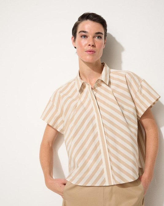 Marco Polo Womens Cropped Stripe Shirt