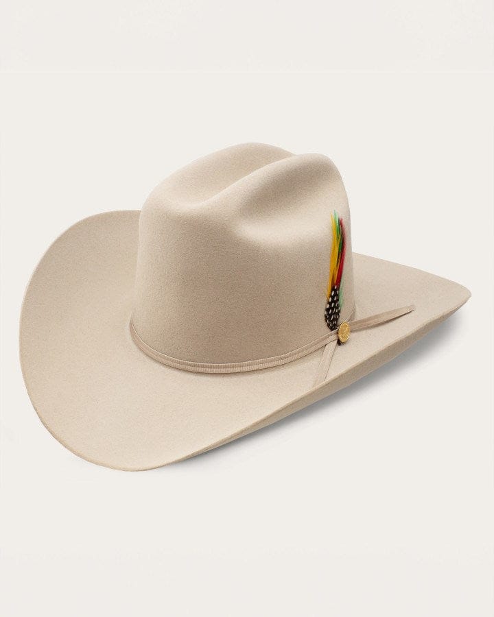 Load image into Gallery viewer, Stetson Rancher 160th Limited Edition
