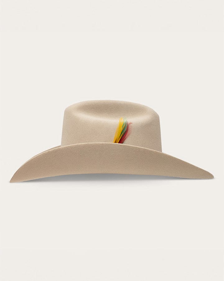 Load image into Gallery viewer, Stetson Rancher 160th Limited Edition
