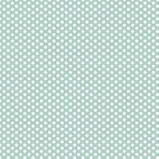 Devonstone Collection Polked Polka Dots - Aqua White Dots - 1m
