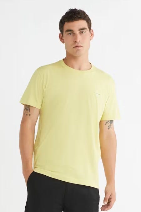 Load image into Gallery viewer, Calvin Klein Mens 2 Pack Monogram Logo T-Shirt
