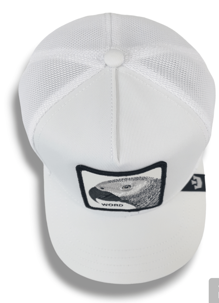 Load image into Gallery viewer, Goorin Bros The Platinum Word Cap - White
