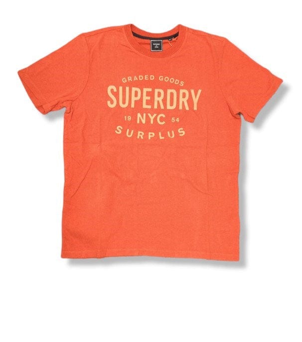 Load image into Gallery viewer, Superdry Mens Vintage Superplus Tee
