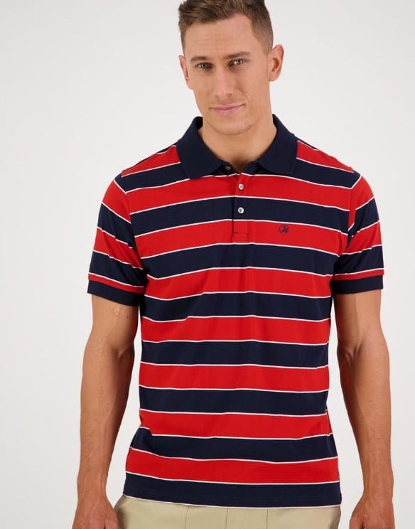 Load image into Gallery viewer, Swanndri Mens Brooksville Stripe Polo
