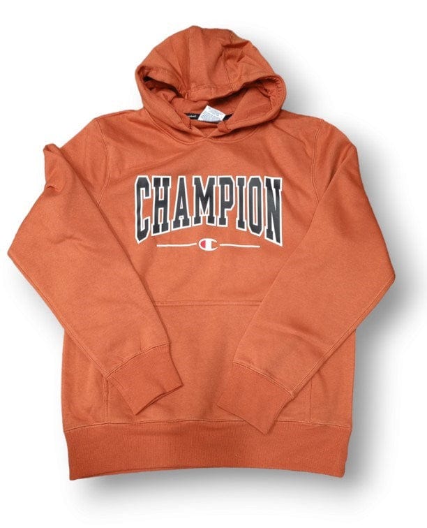 Load image into Gallery viewer, Champion Mens Graphic Print Hoodie
