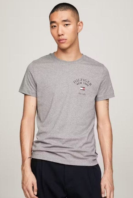 Load image into Gallery viewer, Tommy Hilfiger Mens Arch Varsity Tee
