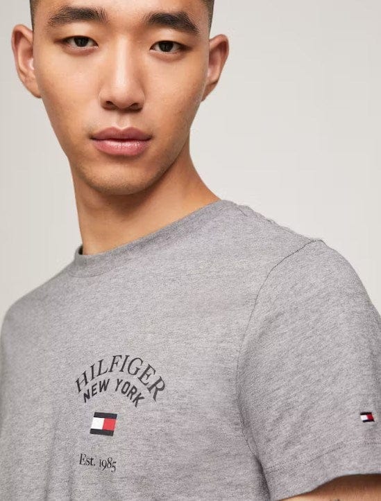 Load image into Gallery viewer, Tommy Hilfiger Mens Arch Varsity Tee
