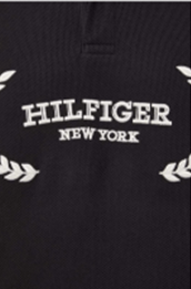 Load image into Gallery viewer, Tommy Hilfiger - Mens Monotype Placement Archive

