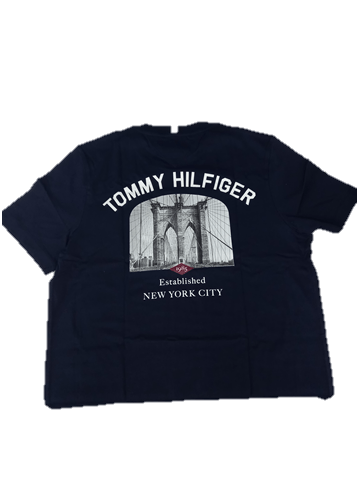 Tommy Hilfiger Mens Photoprint Bridge Regular Fit Polo