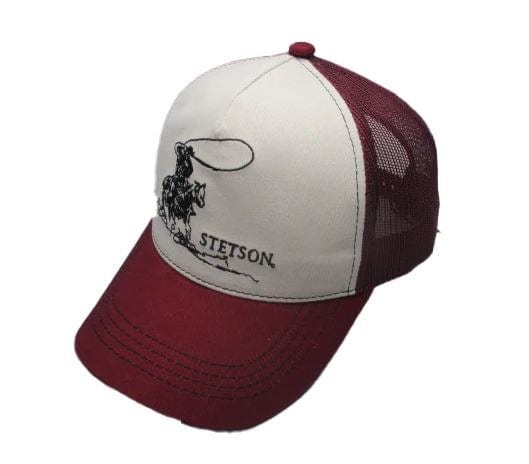 Load image into Gallery viewer, Stetson Lassoo Trucker
