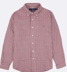 Ralph Lauren Mens Custom Fit Checked Oxford Shirt - Red/White