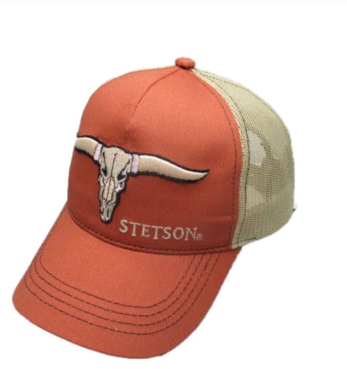 Load image into Gallery viewer, Stetson Buffalo Horns Trucker
